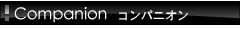 在籍ｺﾝﾊﾟﾆｵﾝ